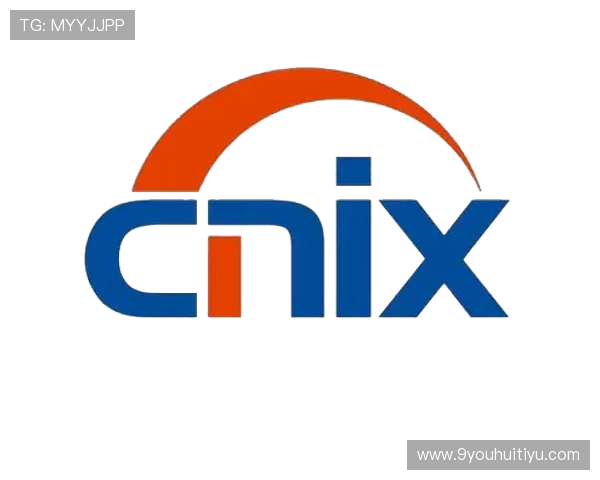 九游ag登录过程中遇到的问题及应对策略详解