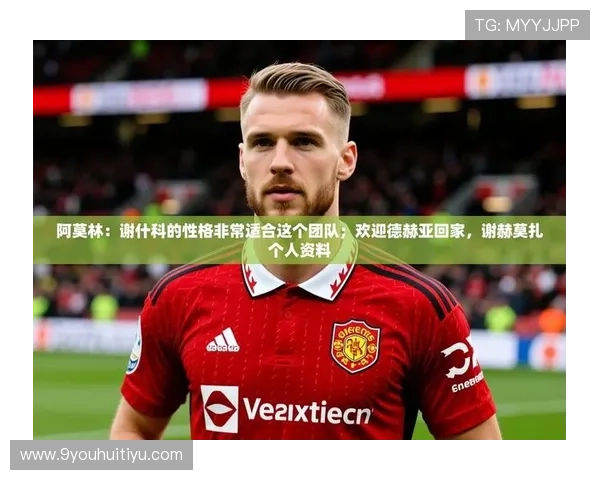 九游娱乐app赞助不莱梅h对球队发展和品牌影响力的积极作用分析